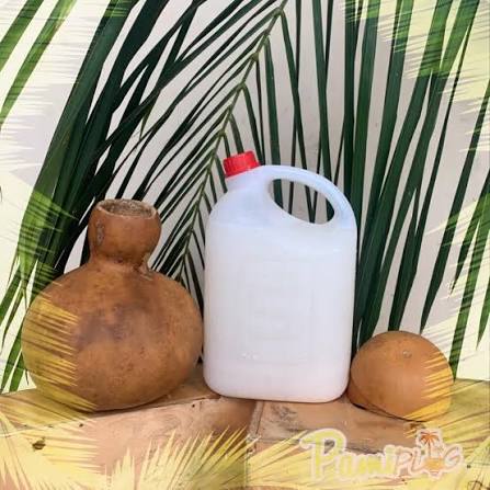 Palm Wine Punch